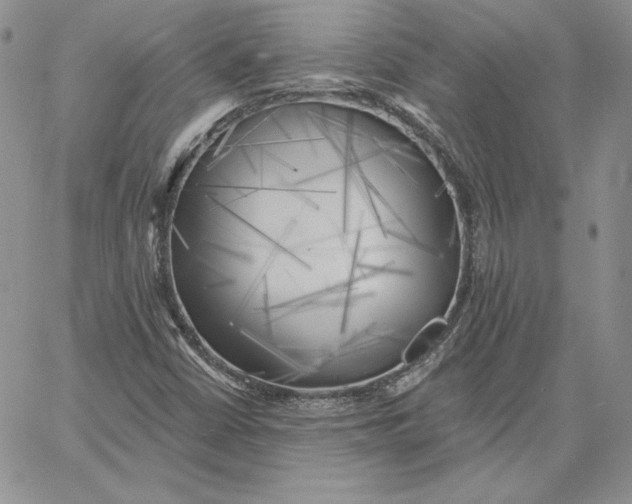 X0000060561402200511241239