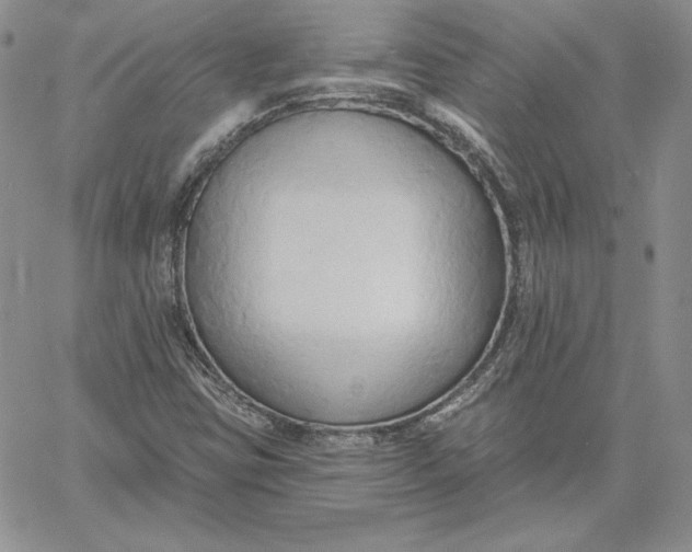 X0000060561403200511241239