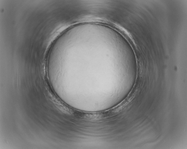X0000060561415200511241239