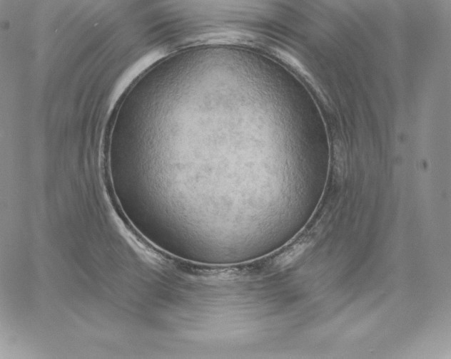 X0000060561426200511241239