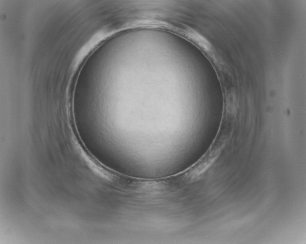X0000060561430200511241239