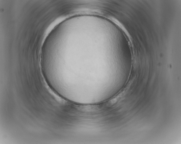 X0000060561437200511241239