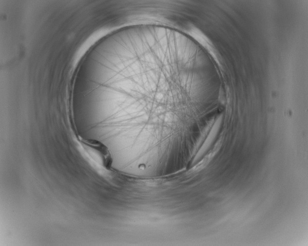 X0000060561438200511241239