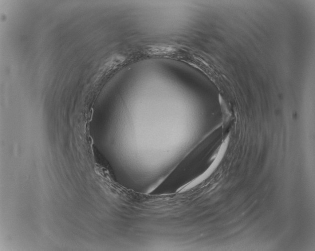 X0000060561441200511241239