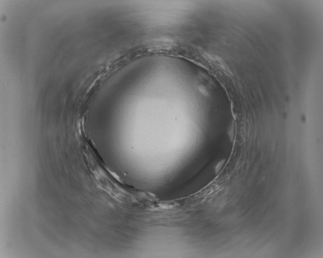 X0000060561445200511241239