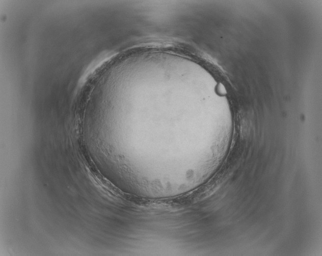 X0000060561448200511241239