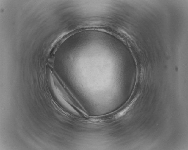 X0000060561449200511241239