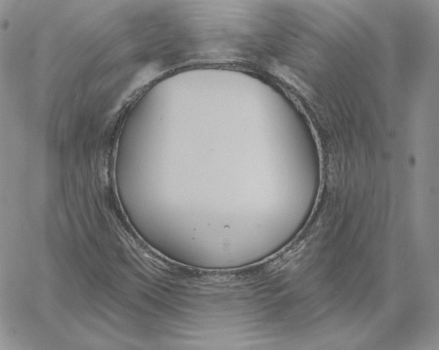X0000060561451200511241239