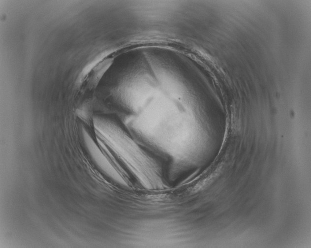X0000060561453200511241239
