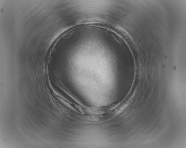 X0000060561457200511241238