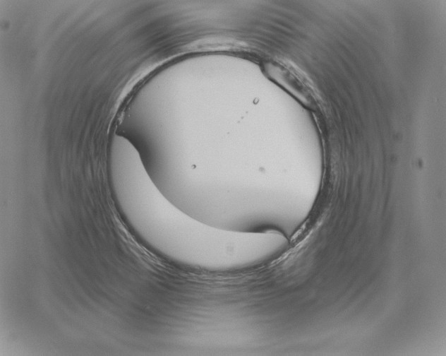 X0000060561465200511241238