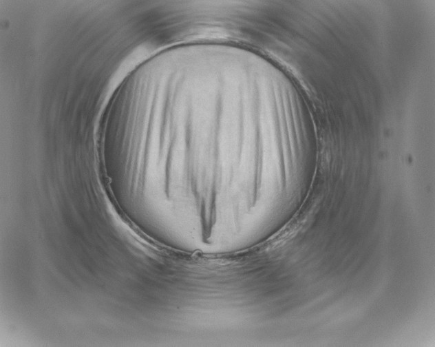 X0000060561475200511241238
