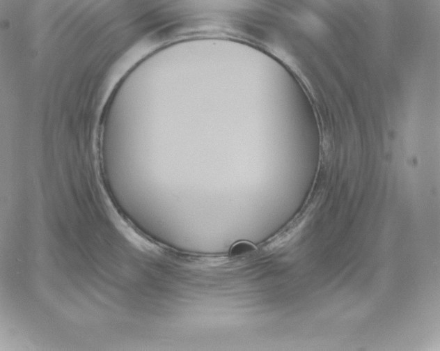 X0000060561482200511241238