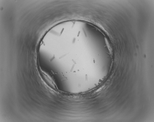 X0000060561508200511241237
