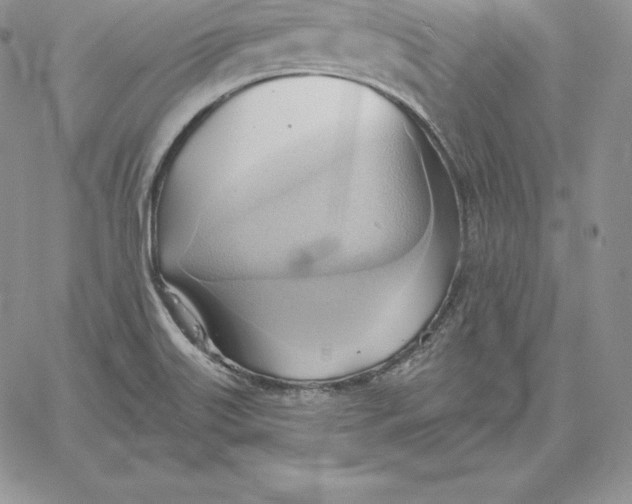 X0000060561515200511241237