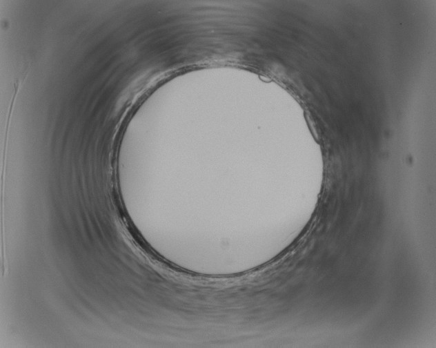 X0000060560002200512011654