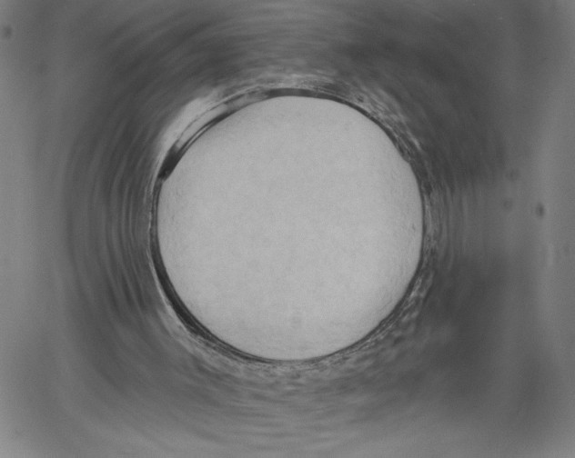 X0000060560003200512011654