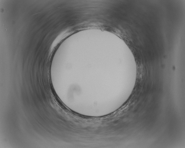 X0000060560004200512011654