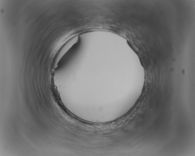 X0000060560005200512011654