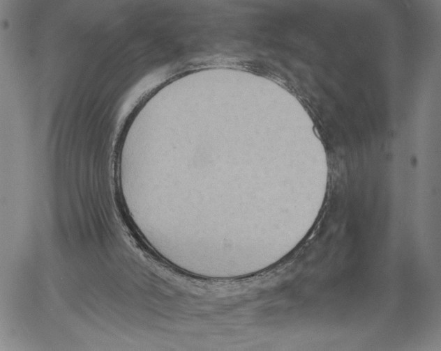 X0000060560006200512011654