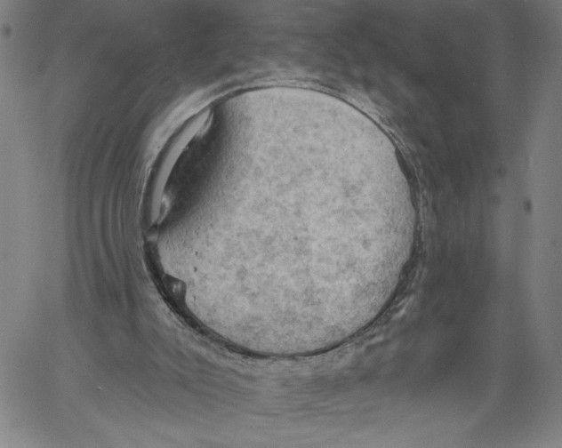 X0000060560007200512011653