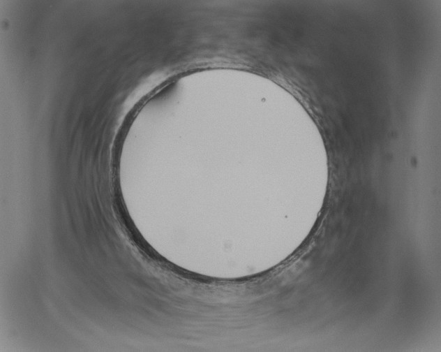 X0000060560008200512011653