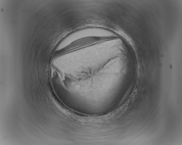 X0000060560009200512011653