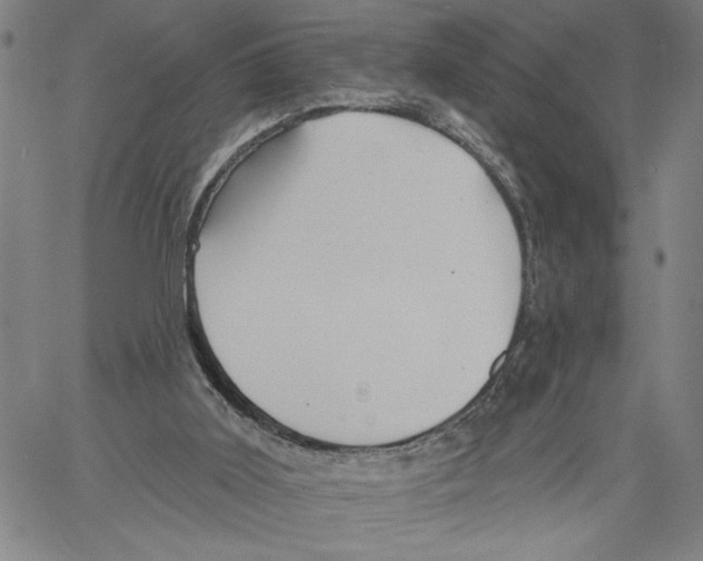 X0000060560011200512011653