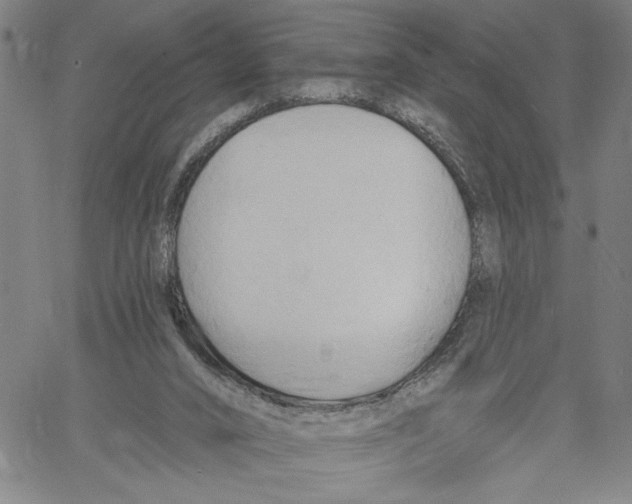 X0000060560016200512011653