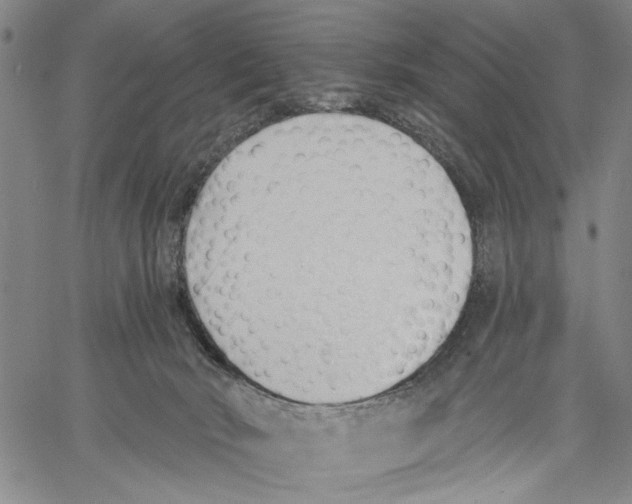 X0000060560030200512011653