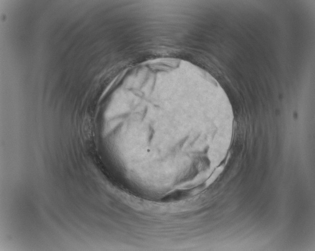 X0000060560043200512011653