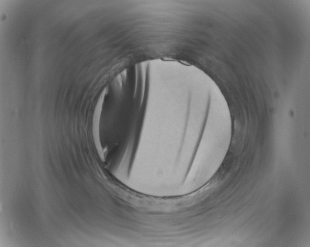 X0000060560048200512011653