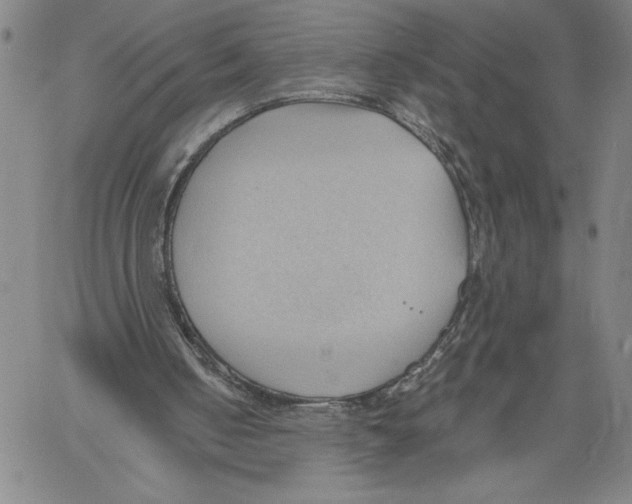 X0000060560050200512011652
