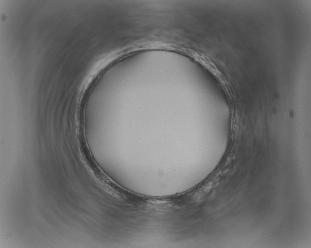 X0000060560055200512011652