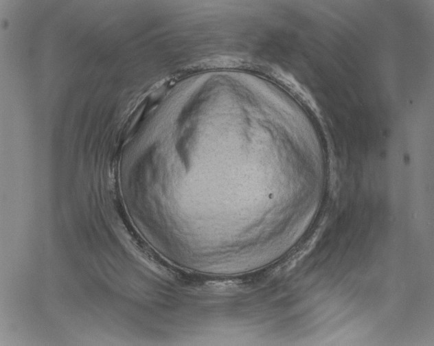 X0000060560057200512011652