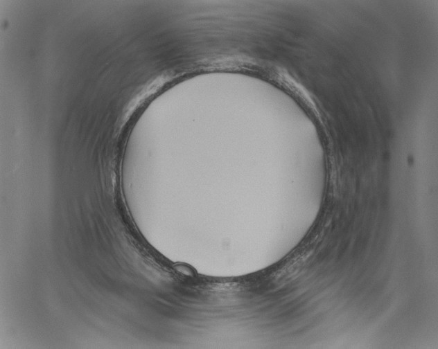 X0000060560059200512011652
