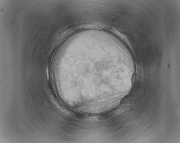 X0000060560061200512011652