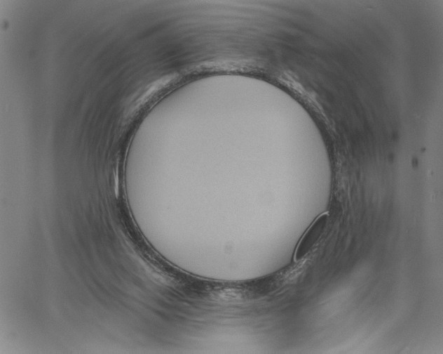X0000060560062200512011652