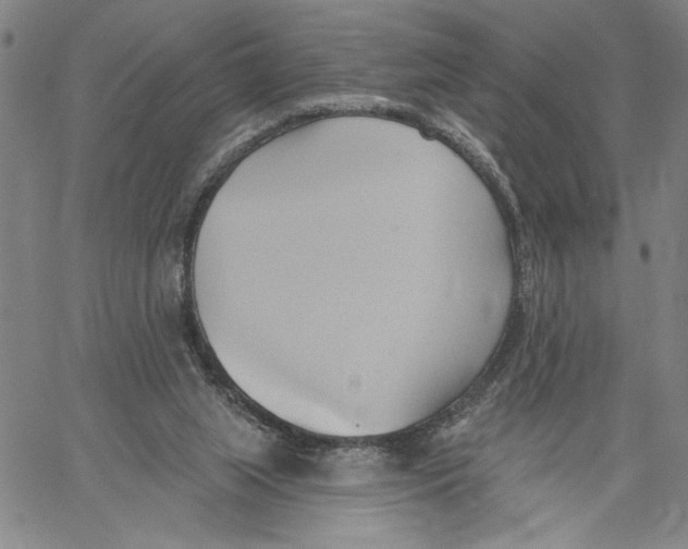 X0000060560063200512011652