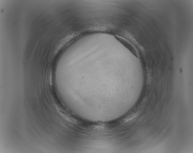X0000060560068200512011652