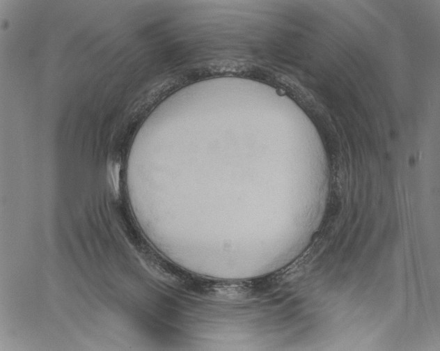 X0000060560070200512011652