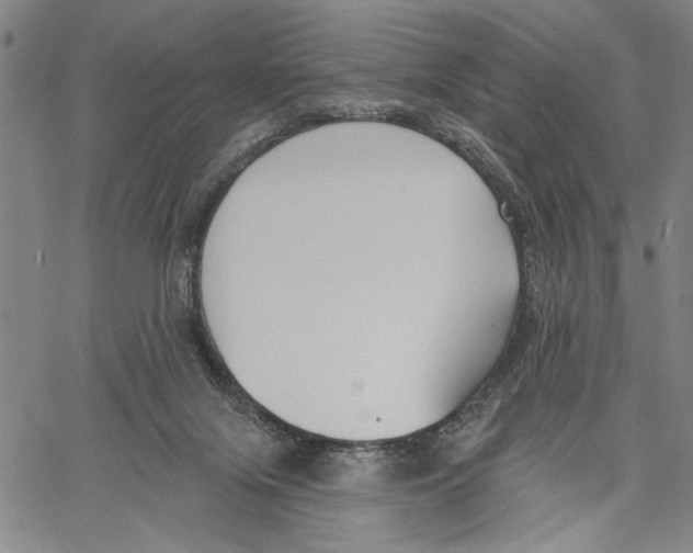 X0000060560071200512011652