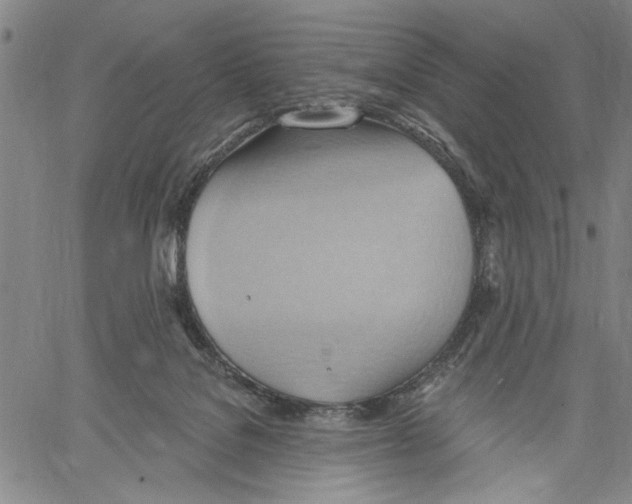 X0000060560076200512011652