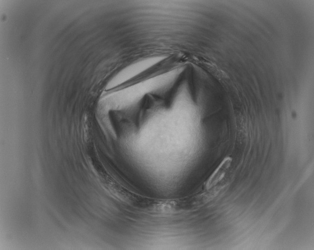 X0000060560080200512011653