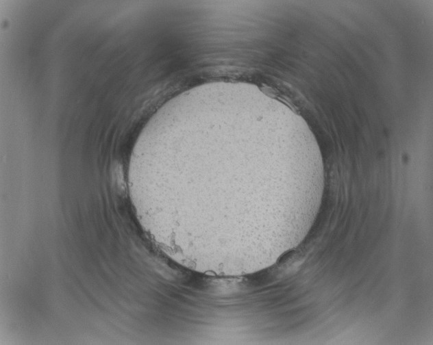 X0000060560089200512011653