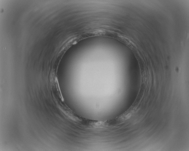 X0000060560092200512011653