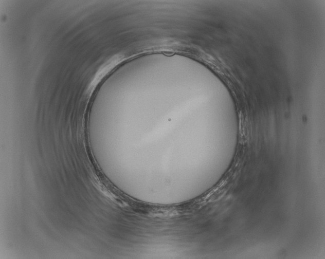 X0000060560099200512011652