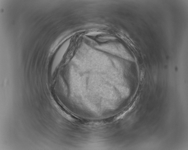 X0000060560101200512011652