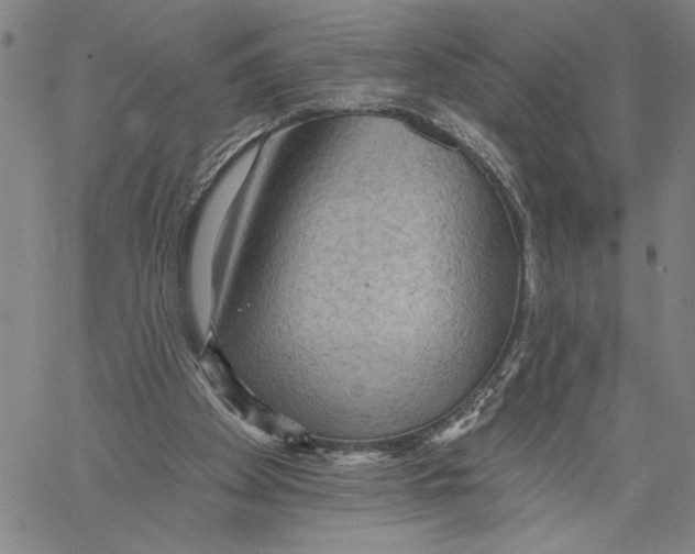 X0000060560105200512011652