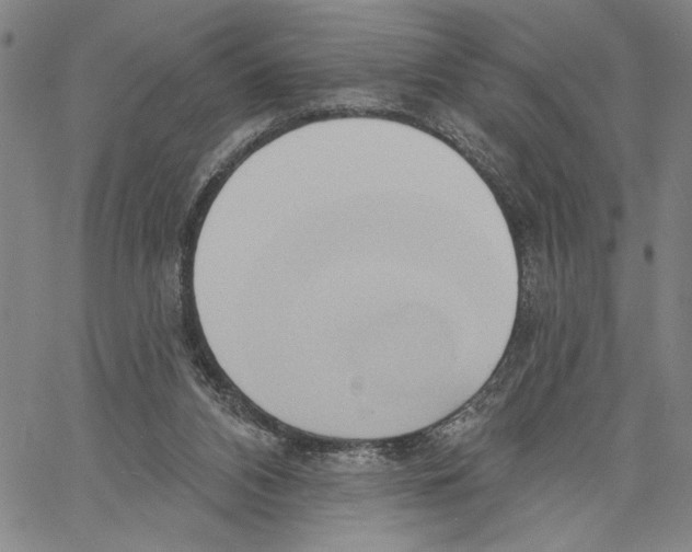 X0000060560112200512011652